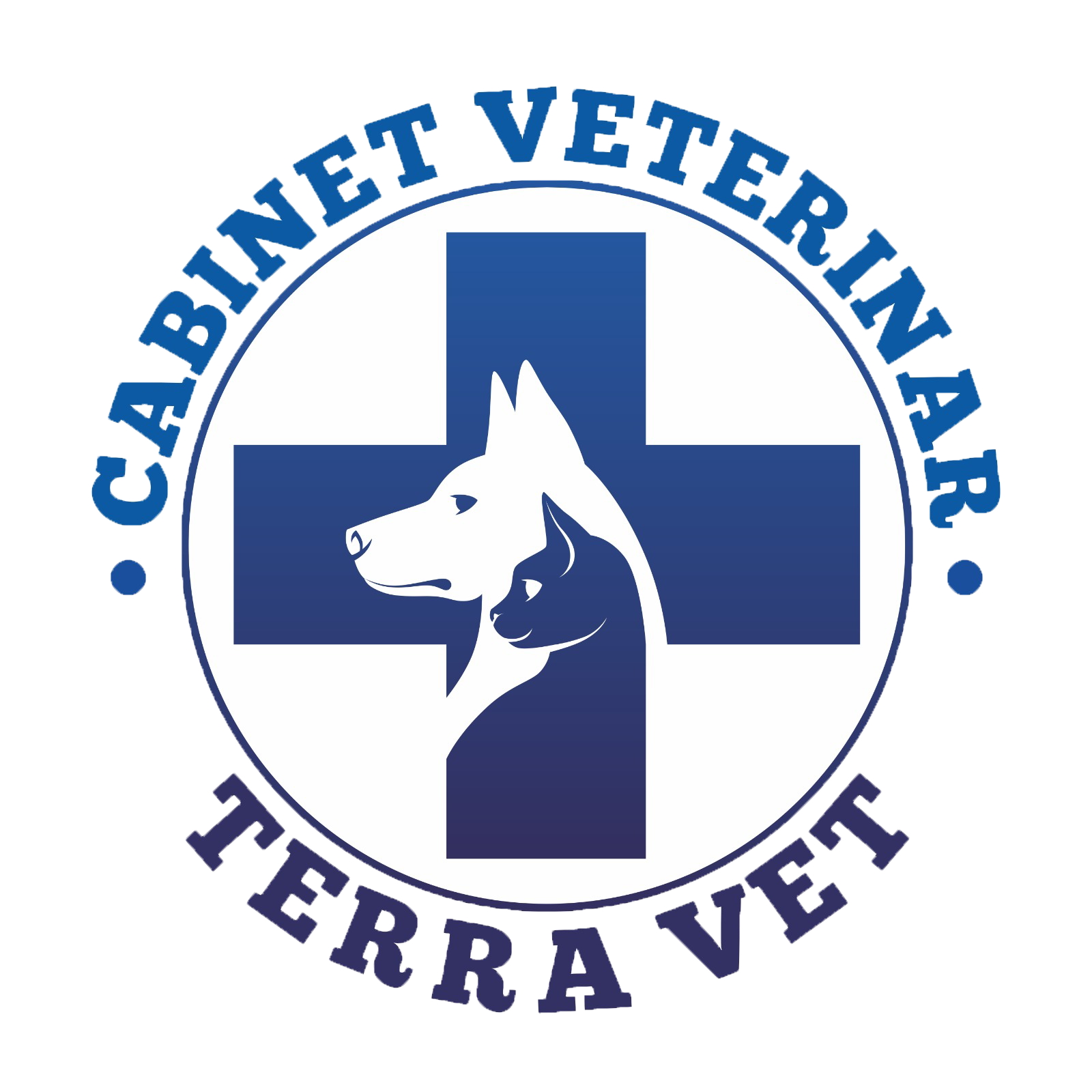logo terra vet